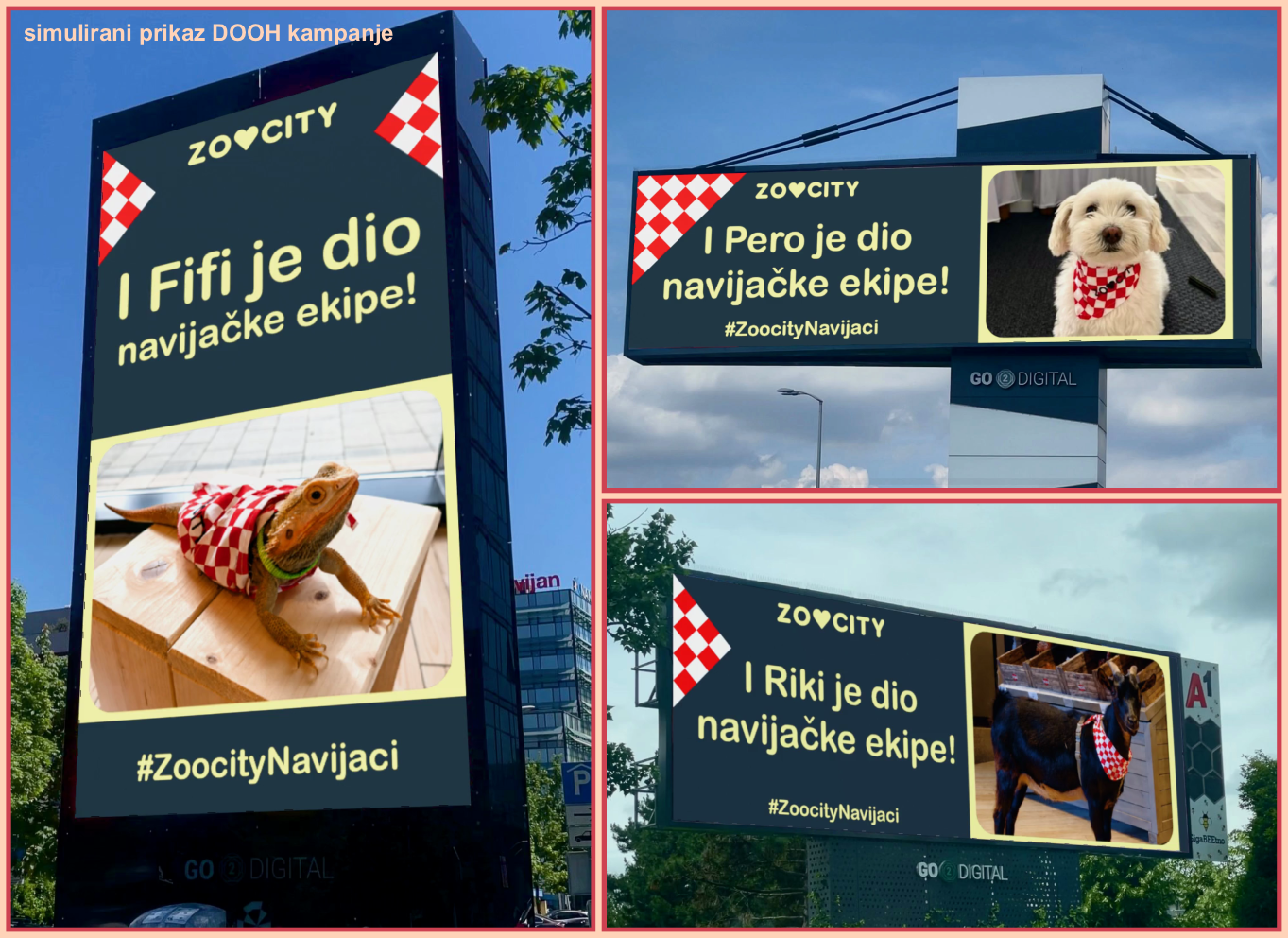 ZOOCITY Najslađa navijačka ekipa koncept kampanja